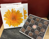 25-Piece Assorted Chocolate Box | Peanut Butter, Caramels, Buttercreams & More - Daisy