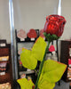 Single Milk Chocolate Long Stem Rose