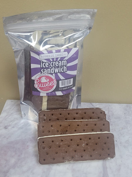 Freeze Dried Ice Cream Sandwich