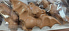Chocolate bat
