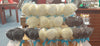 Sea Shell Lollipop
