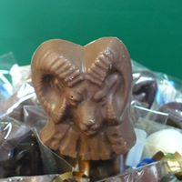 Chocolate Ram